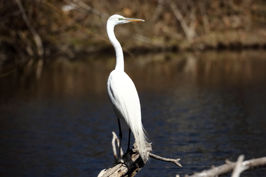 2013 04 03 IMG 02249e